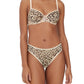 Spellbound Mesh Thong 3-Pack