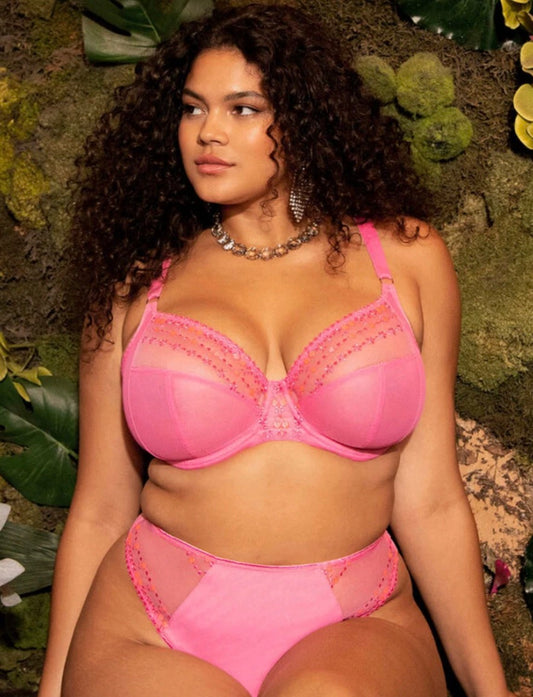 Matilda Underwire Plunge Bra - Wild Cherry