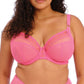 Matilda Underwire Plunge Bra