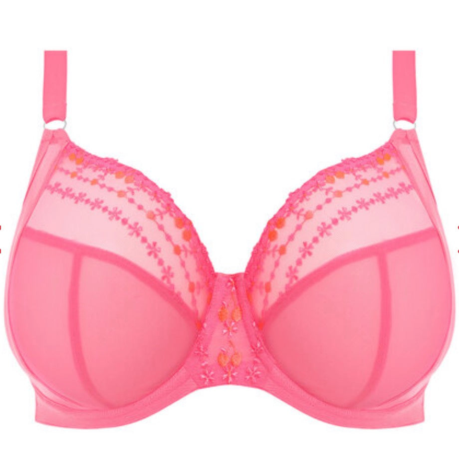 Matilda Underwire Plunge Bra - Wild Cherry